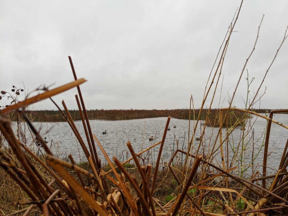 Why Raw Hunting Averages Lie (And How We Fix It)
