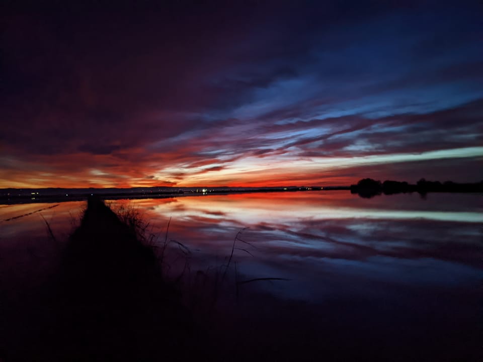 The Full Moon Myth: What 25,000 Hunt Days Say About Moon Phase and Duck Hunting