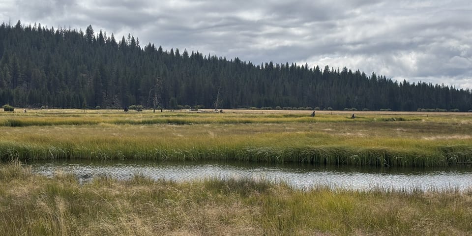 Does Weather Actually Affect Duck Hunting?